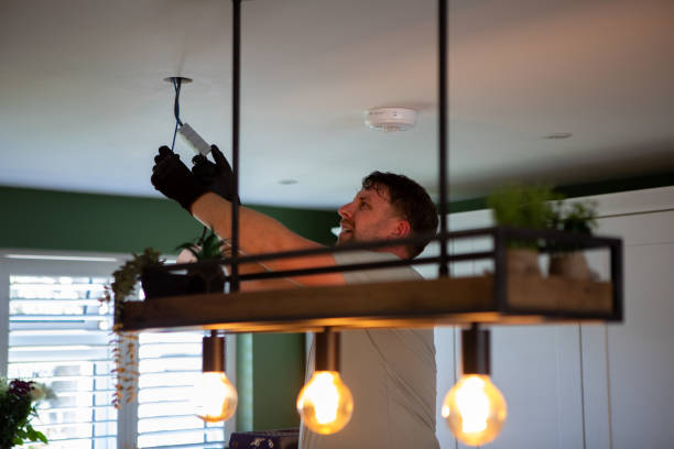 Best Electric Panel Repair  in Riverwoods, IL